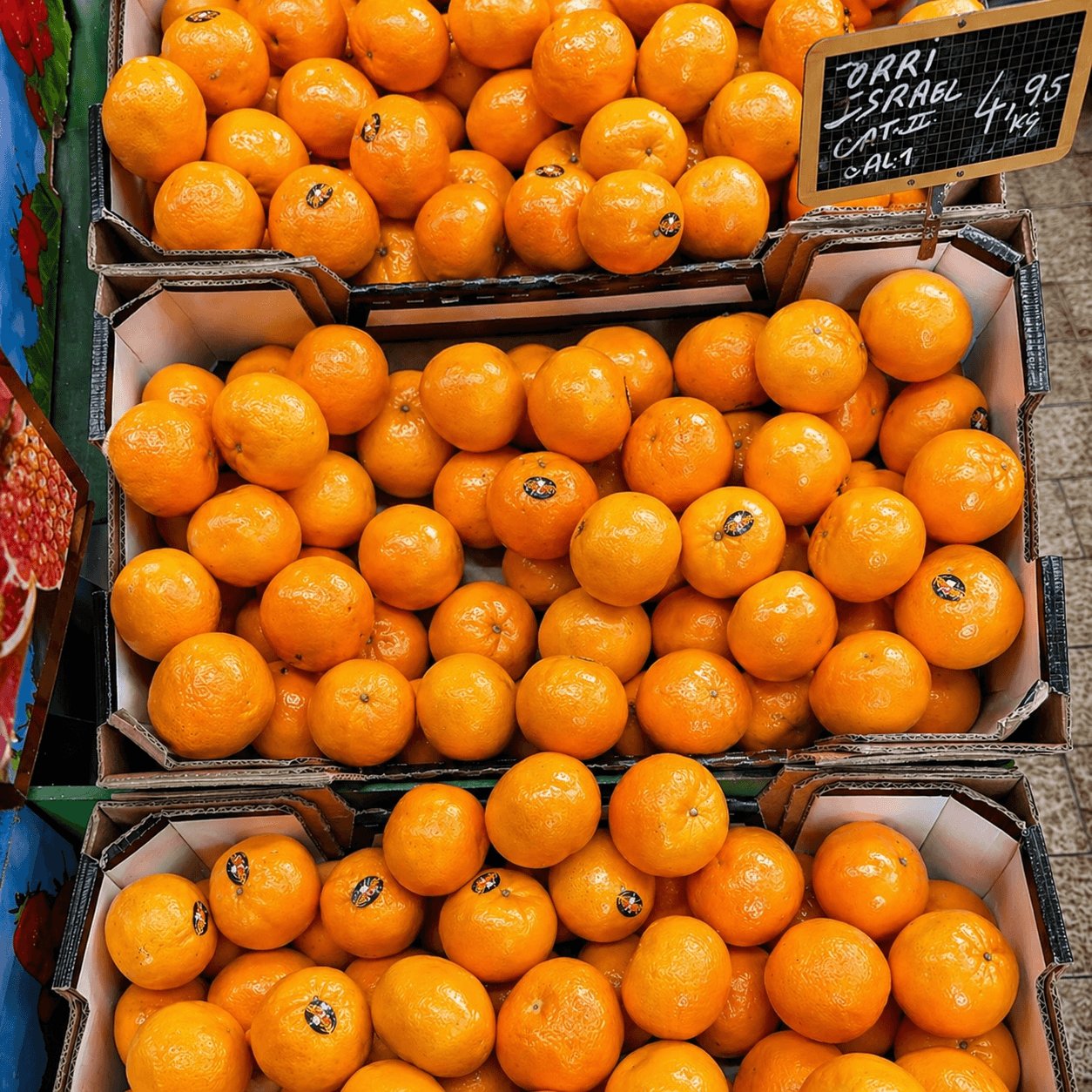 Mandarines fraîches